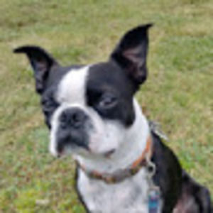 Meet your Posher, Lea